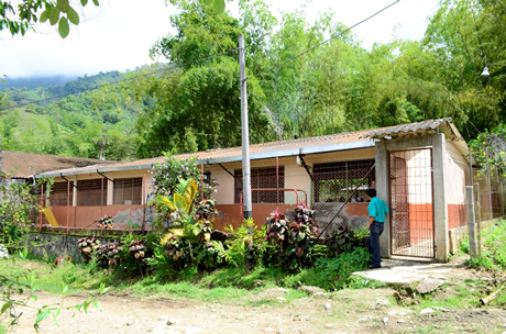 Sede Cristales